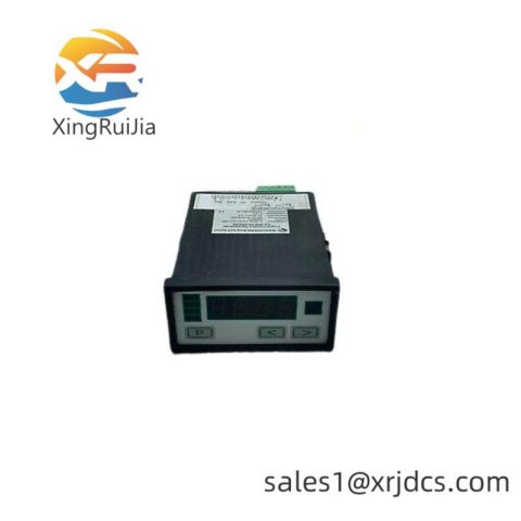 Negele Prozessoren-Anzeige DPM-GS-2GW-S Digital Display - High Precision Measurement & Control