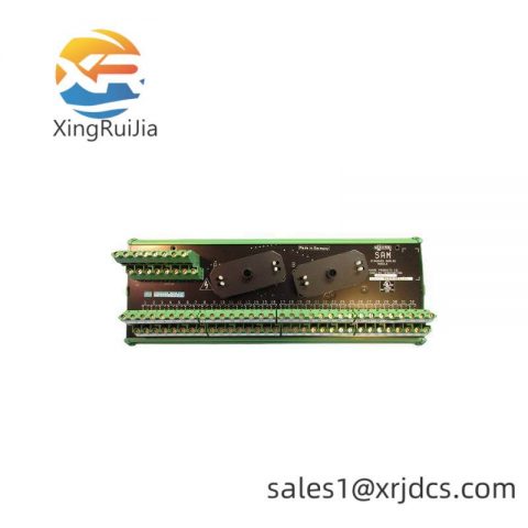 SIEMENS 16169-1-07 Analog Input Module