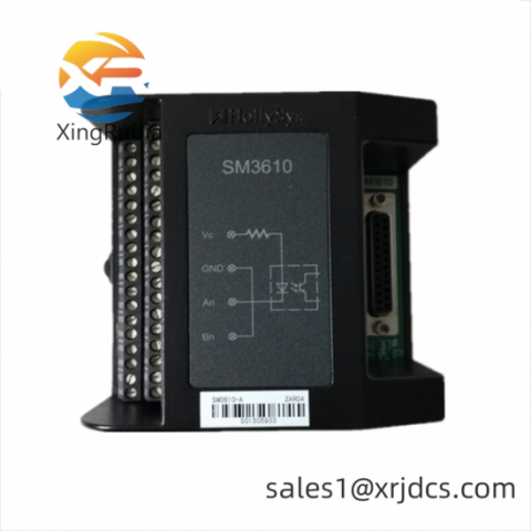 HOLLYSYS FM161D-48: High-Performance Switch Input Module for Industrial Automation